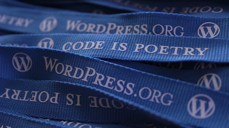 platform wordpress cms paling populer