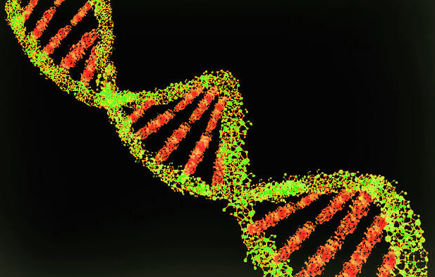 Ilustrasi uji PCR untuk melihat rantai DNA 