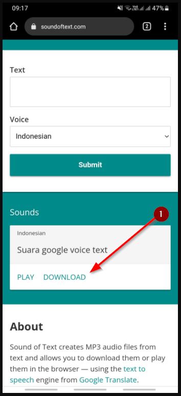Buat Suara Google Sound Of Text Di Iphone Tanpa Aplikasi