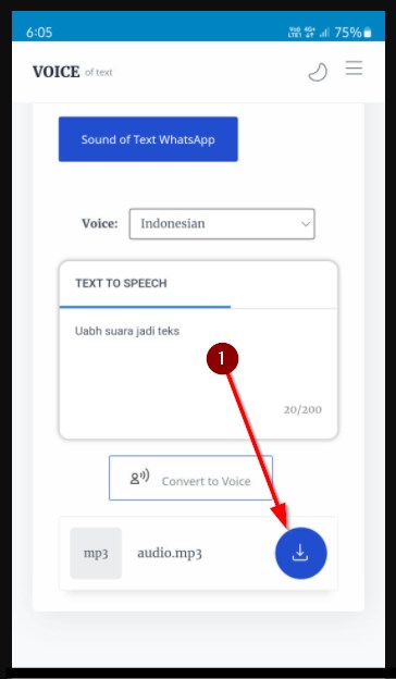 Buat Suara Google Di Hp Tanpa Aplikasii
